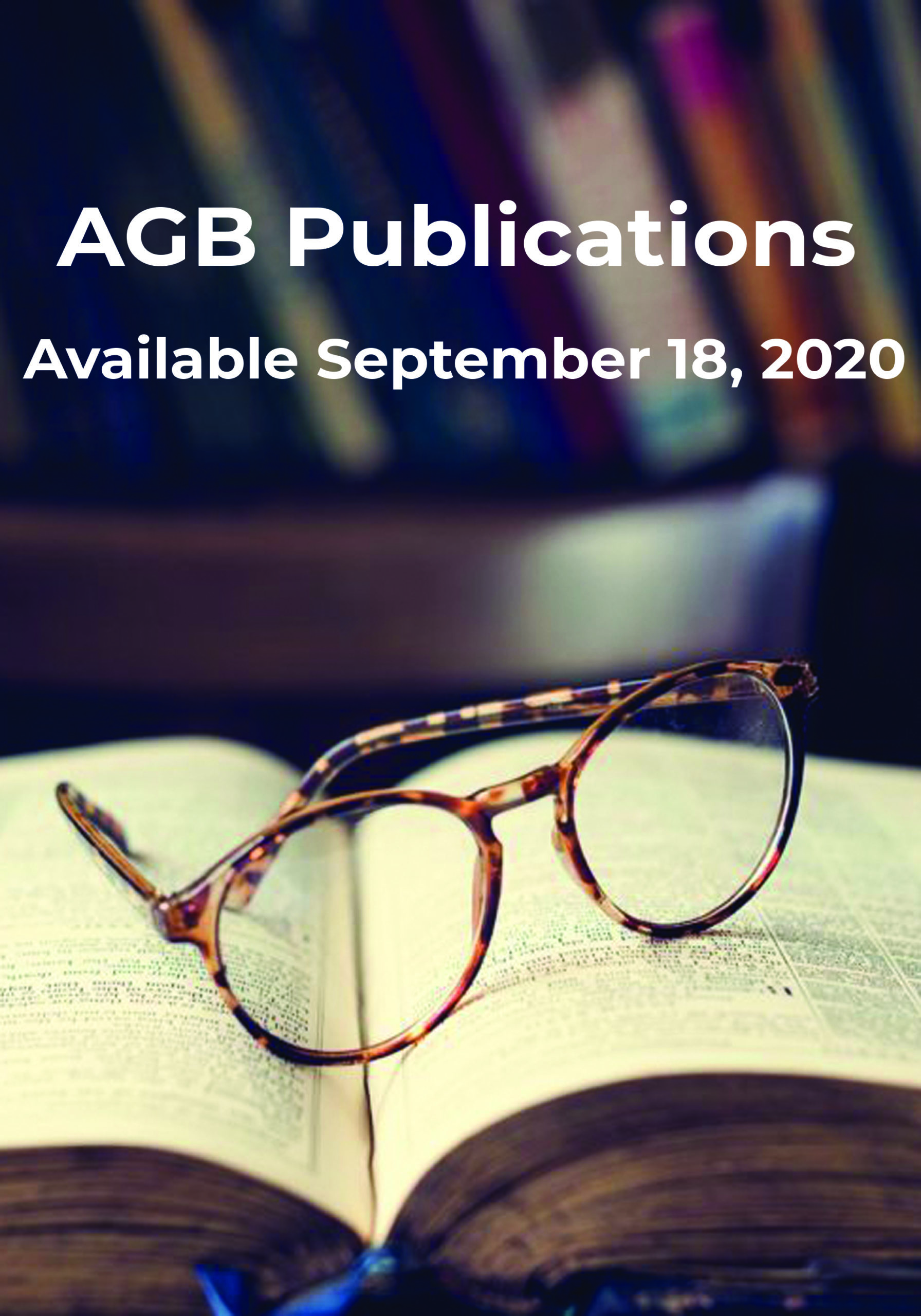 Dummy Book Cover for the New Realities for Public Higher Education Foundations