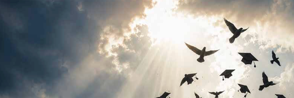 Academic Freedom: Questions and Action Steps for Boards